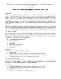 Consultant Scope Of Work How To Create A Consultant Scope Of Work Download This Consultant Scope Of Work Template N Catholic Relief Services Templates Scope