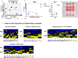 And like a cold, it is very common and very contagious. Type I Interferon Potentiates Iga Immunity To Respiratory Syncytial Virus Infection During Infancy Scientific Reports