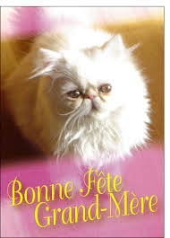 Merci Facteur Chat Bonne Fete Grand Mere Bonne Fete Grand Mere Bonne Fete Voeux Bonne Fete