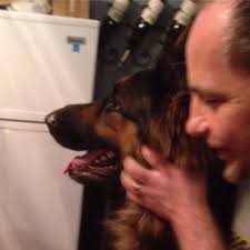 Shows with non-sport card dealers?