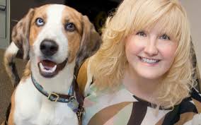 Uncategorized Archives