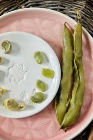 Vegan Panosundaki Pin