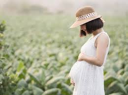 Check spelling or type a new query. 12 Makanan Yang Mengandung Asam Folat Tinggi Untuk Ibu Hamil