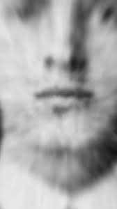 Exploring Madeleine Astor's Life Vest at the Titanic Museum