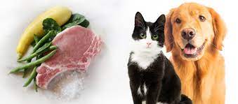 Or use our free calorie we don't have clear answers on dog food calories. Detailed Formula Answers Pet Food