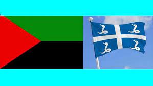 Download the drapeau aux serpents de la martinique flag and coat of arms vector in ai, pdf, svg and png formats. Polemique Sur Le Drapeau De La Martinique