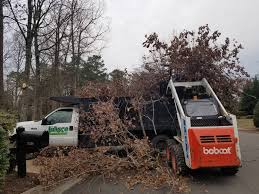 Maybe you would like to learn more about one of these? Portfolio Mi Jalisco Landscaping Llc Quality Results