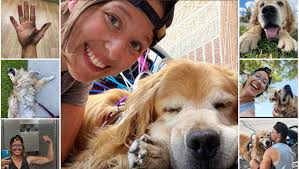 Fundraiser by Kristina Anderson : Kai & Arlen Young Homeless Disabled &  Service Dog