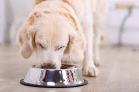 When this occurs, the product is then recalled. Top 10 Dog Foods That Have Never Been Recalled 2021 Reviews Top Picks Doggie Designer