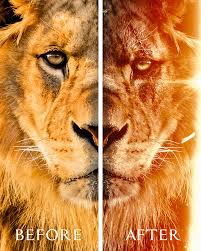 The lion king grossed $422.8 million in north america and $545.7 million in other territories, for a worldwide total of $968.5 million. The Lion King King Of The Jungle On Behance