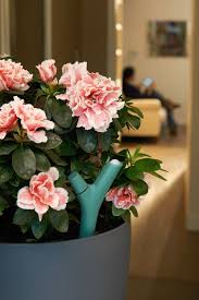 10 Futuristic Gadgets For The Early Adopter Garden Gadgets Cool New Gadgets Flowers