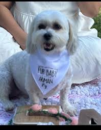 Thibodeaux, LA folks -- Please keep your eyes open for this girl