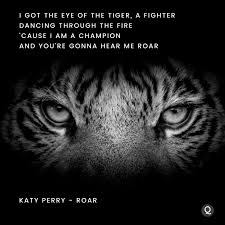 Katy Perry You Just Have To Say That You Re Fine Katy Perry Roar Lyric Quote In 2020 Katy Perry Lyrics Katy Perry Roar Katy Perry