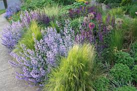 Phyto studio is a niche landscape architecture firm dedicated to crafting artistic & technical solutions for the next green revolution. Blog By Thomas Rainer