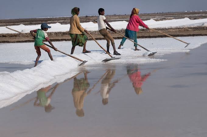 The salt farmers of India's Rann of Kutch marshes | Gallery | Al Jazeera