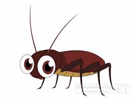 insect clipart clipart cockroach insect clipart classroom clipart classroom clipart