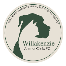 In federal way, concentra's center is welcoming and bright, designed to create a warm and comfortable patient experience. Willakenzie Animal Clinic Pc Eugene Or Home