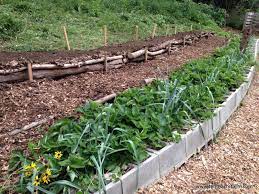 How to garden on a hill. Here S A Quick Way To Terrace A Hill Free Download Tenth Acre Farm