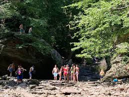 Check spelling or type a new query. Crowds Trash Overwhelm Wissahickon The Chestnut Hill Local