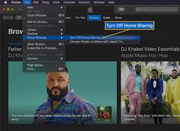 Supports group file sharing to up to 4 devices. How To Set Up And Use Home Sharing In Itunes