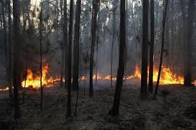 4 ago 2021 | 22:27. Incendio De Loule Chega A Almodovar
