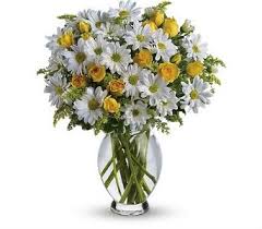 Jude children's hospital, 501 st. Ken S Flower Shops 5434 Monroe St Toledo Oh Florists Mapquest