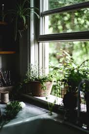 P I N T E R E S T Muriloguterres Windows Dream Spaces Cottage