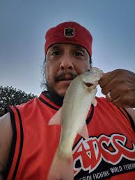 Some Walking bass at 300 bmp 🔥🔥🔥