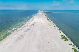 878 likes · 9 talking about this. A Pet Friendly Beach Vacation In Alabama Far From The Crowds