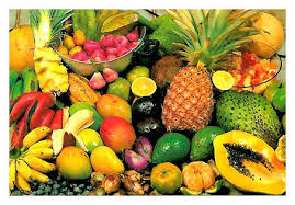 Le Secteur Des Fruits Et Legumes Au Costa Rica Cci France International