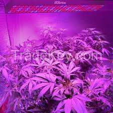 We did not find results for: Jcbritw Led Grow Light Panel 60w Growing Lamps Red Blue Spectrum Long Bar By Shenzhen Aspiretek E Commerce Co Ltd China