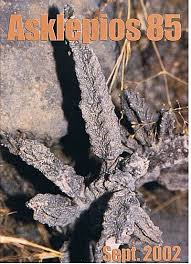 Image result for Cibirhiza