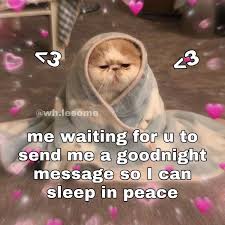 Maybe you would like to learn more about one of these? Wholesome Meme Really Funny Memes Cute Love Memes Cute Memes