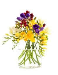 Freesia Flowers Bunch In A Vase Isolated On White Sponsored Bunch Flowers Freesia White Freesia Flowers Beautiful Flower Arrangements Fresia Flower