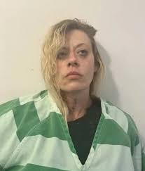 Impaired woman with knife boards school bus in Caldwell Co.