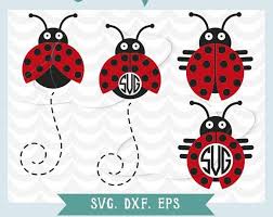 Black And White Ladybug Svg Pin On Tshirts Vinyl Things