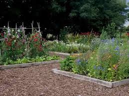 We did not find results for: Sweetpeas And Wildflower Mix In Raised Beds Plants Garden Wild Flowers