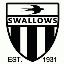 Links to moroka swallows vs. Pin Di Football Logo