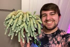 Plant enthusiast joins houseplant community