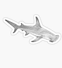 Black And White Shark Stickers Madliart Shop Wildlife Artwork Hammerhead Shark Marine Fish