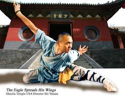 معبد شاولين 1982 / معبد شاولين 1982 : Shaolin Temple Usa San Francisco Fremont Ca Herndon Va
