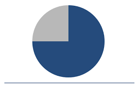 Pie Chart Graphic Lifestream
