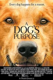 Maybe you would like to learn more about one of these? A Dog S Purpose Film Wikipedia