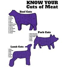 Livestock Quotes Ffa 4 H Show Pigs Show Lambs Show Goats Show Steers Stockshowlife Livestock Judging Livestock Farming Showing Livestock