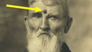 Who was Samuel Zook? The Hero of Gettysburg and the Wheatfield During the  American Civil War