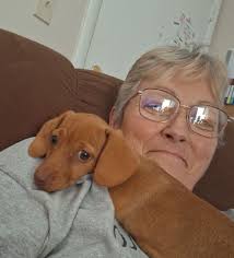 Lost dog found in Adams and Washington area