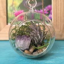 Gorgeous Gemstone Air Plant Glass Terrarium Includes Air Plant Spanish Moss River Rocks Hemp Rope Removable Terrarium Table Glass Terrarium Plant Life