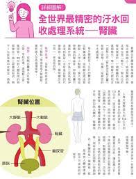 pin on health