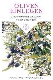 Oliven Selber Einlegen Oliven Oliven Rezepte Einlegen