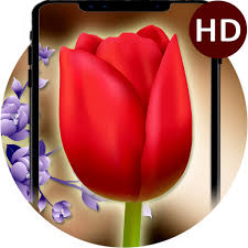 Check spelling or type a new query. Jam Bunga Tulip Tema Wallpaper Hidup Bunga Aplikasi Di Google Play